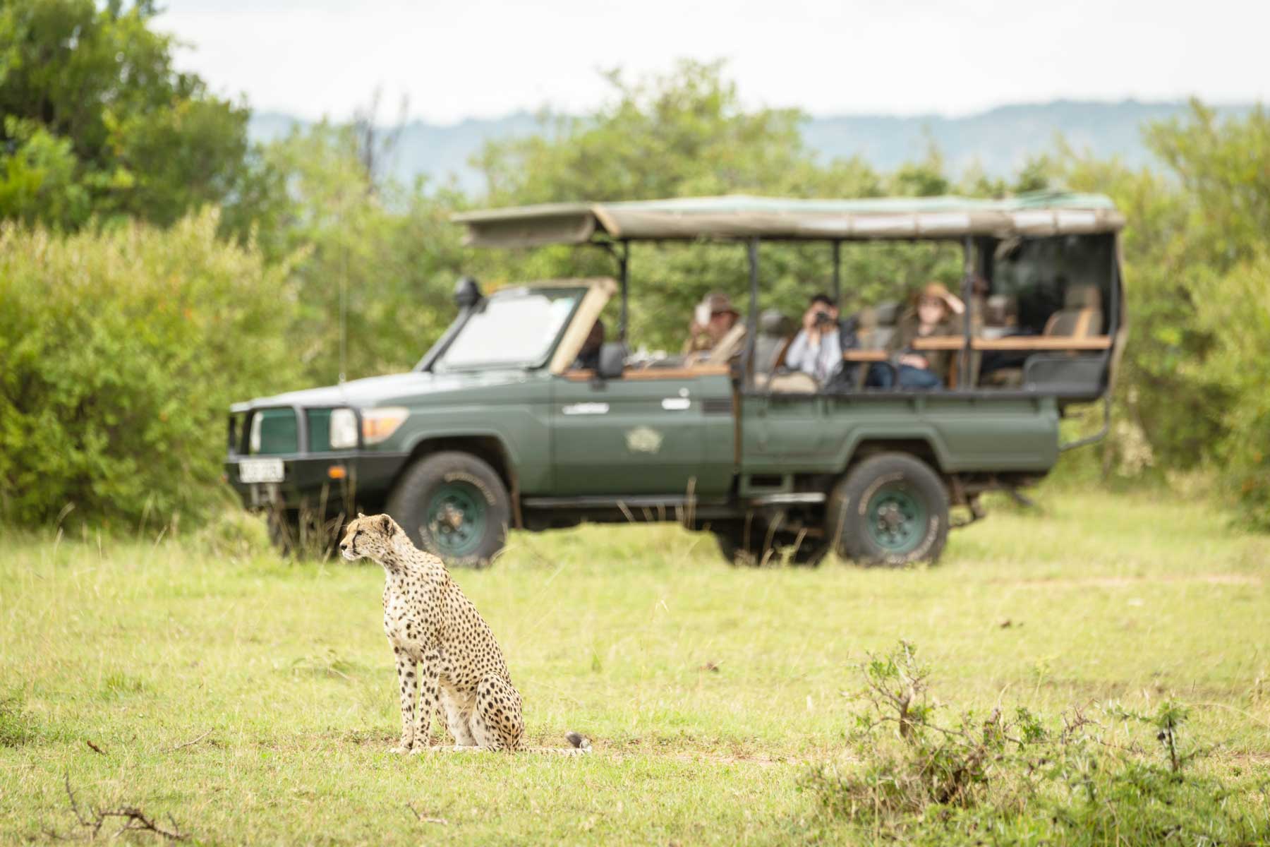 ANA introduces new Safari tours